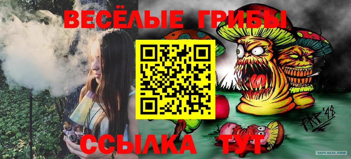 Галлюциногенные грибы Psilocybine cubensis  Галлюциногенные грибы прущие грибы  Вход с VPN  Губкин 