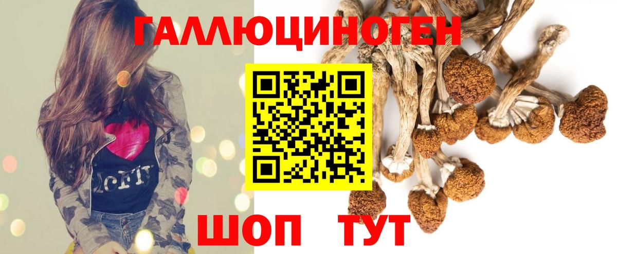 Псилоцибиновые грибы Psilocybine cubensis Губкин